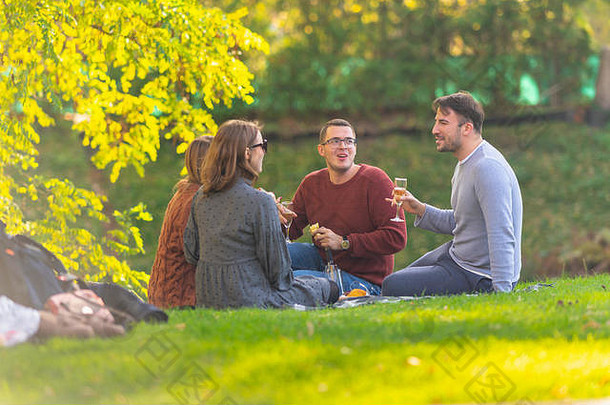 秋天，一群年轻的朋友坐在茂盛的绿草上喝香槟，在公园里庆祝