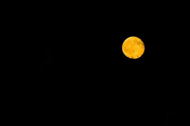 金完整的月亮黑色的天空背景保罗明尼苏达州美国