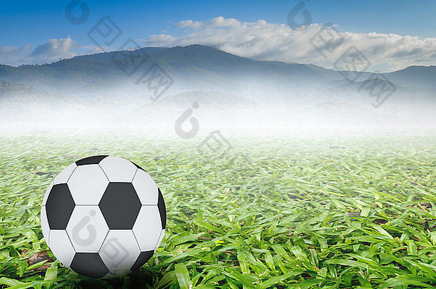 绿色草地背景上的黑白足球。