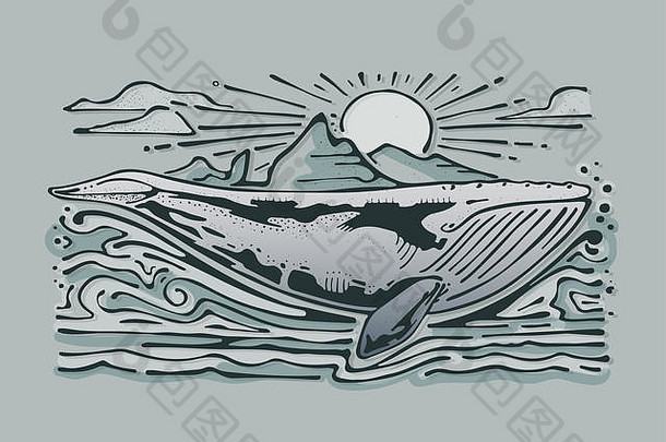 手画插图画鲸鱼海