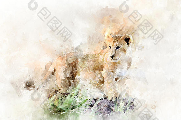 水彩插图狮子幼崽肖像美丽的野生动物世界
