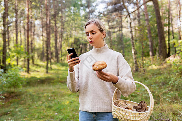 女人用智能手机识别蘑菇