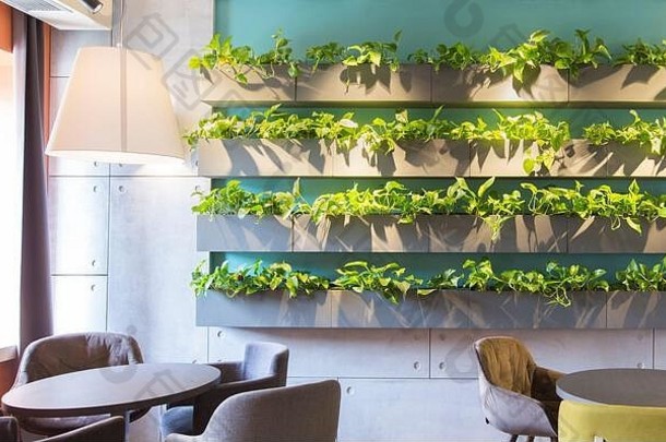 人造植物在木盆装饰的墙面上