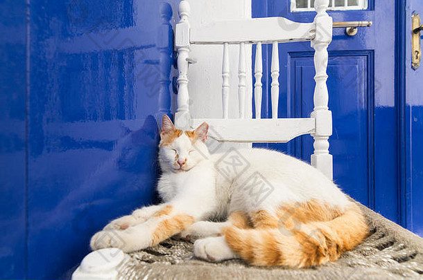 可爱的红色的猫<strong>睡觉</strong>传统的木椅子米克诺斯岛希腊宽角镜头拍摄特写镜头