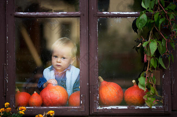 万圣节主题<strong>图片可爱</strong>的快乐的孩子窗口美丽的蹒跚学步的男孩房子装饰万圣节