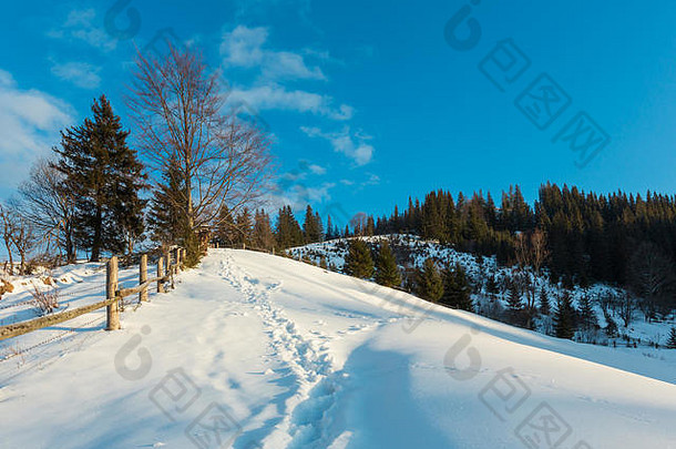 冬天早....风景风景如画的山农村雪覆盖路径足迹乌克兰喀尔巴阡山脉的山宁静和平赞布罗尼亚斯德