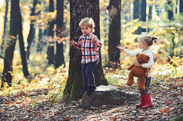 孩子们在秋天的森林里呼吸新鲜空气玩耍。儿童活动与积极休息