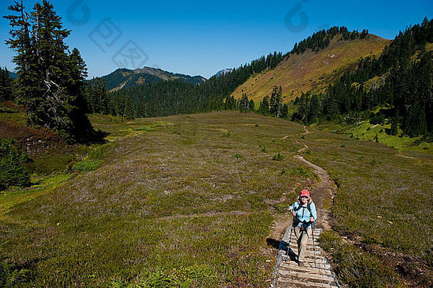 Excelsior Ridge小径以贝克山国家森林中的贝克山和舒克山的美景为特色。