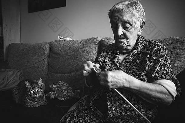 上了年纪的女人缝纫首页猫一边