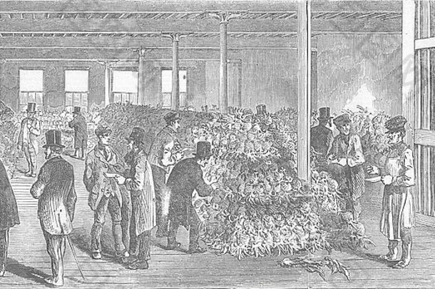1853年松树苹果美食大展。图文并茂的伦敦新闻