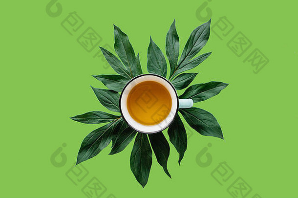 新鲜的香健康的Herbal绿色茶杯子绿色背景茶时间