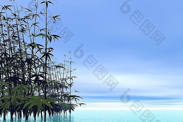 美丽的蓝天下的竹子和水