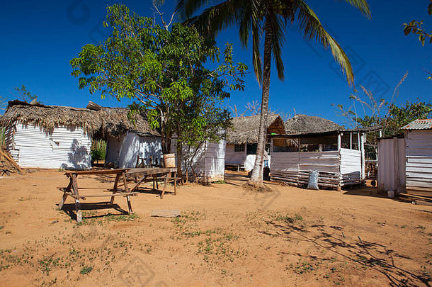 古巴比纳尔·德尔·里约热内卢维纳尔河谷的老咖啡农场