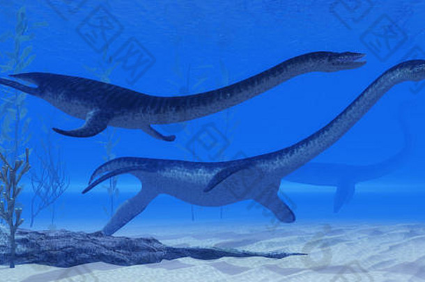 蛇颈龙是一种海洋爬行类恐龙，它们在侏罗纪海域一起游动，寻找下一个猎物。