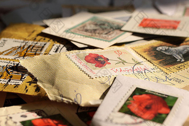 邮资邮票世界多种多样的色彩斑斓的