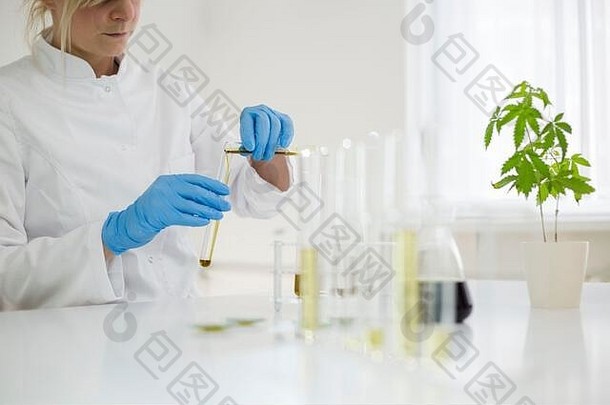 在实验室测试从植物中提取的cbd油的女科学家。她正在用各种<strong>玻璃</strong>管和<strong>玻璃</strong>碗做实验。治愈