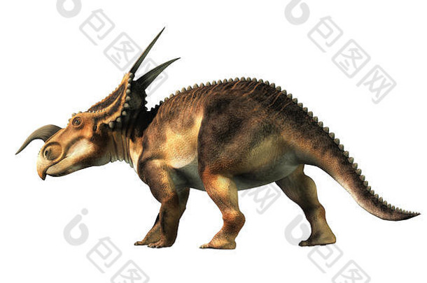 einiosaurus白色背景einiosaurus角龙类恐龙三角龙白垩纪期呈现