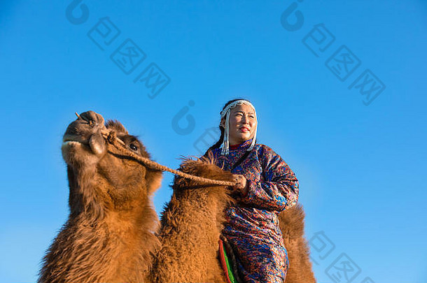 穿着传统蒙古服装的妇女，戴着她的双峰驼。戈壁沙漠，蒙古。