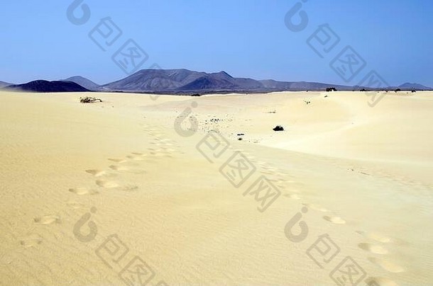 西班牙金丝雀岛Fuerteventura沙漠沙丘自然公园Jable