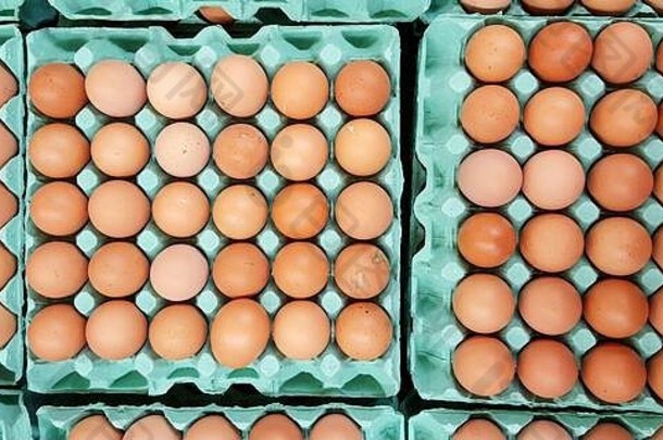 鸡蛋板布置在养鸡场供市场销售