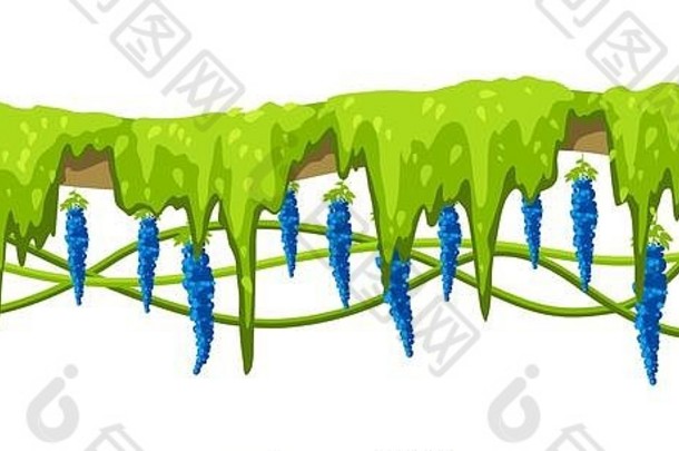 扭曲的野生藤本植物分支无缝的模式丛林葡萄树植物