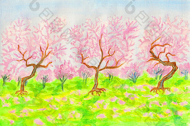 春天花园里盛开着粉红色的樱桃、手绘的图画和水彩。