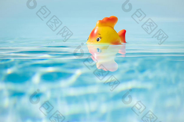 红色玩具鱼在游泳池洗澡，浅景深和空间