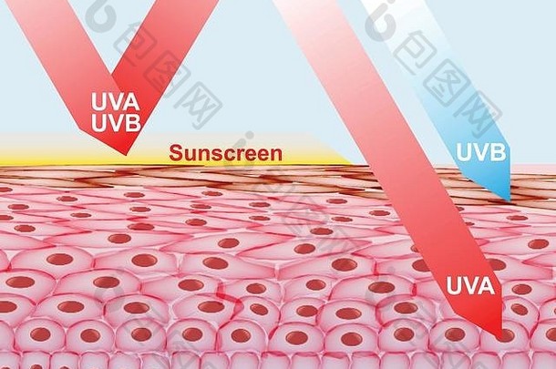 <strong>防晒乳</strong>液保护皮肤免受UVA、UVB射线的伤害