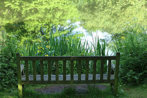 板凳上花园座位湖反射树水伦敦