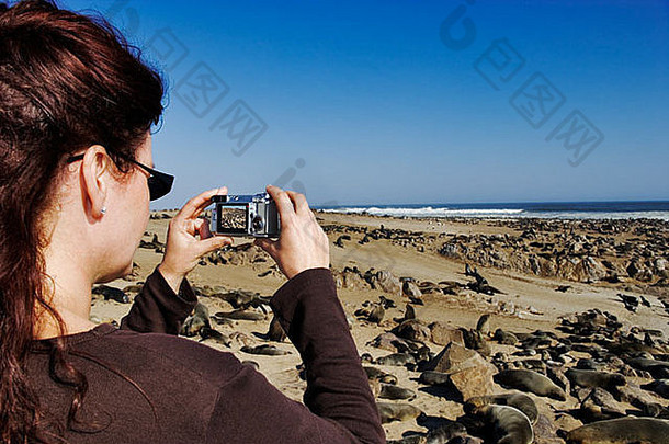 旅游采取照片角皮毛海豹骨架海岸公园纳米比亚