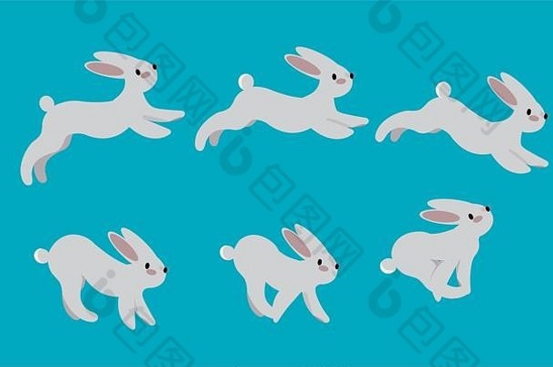 动画周期运行毛兔子运动构成运行