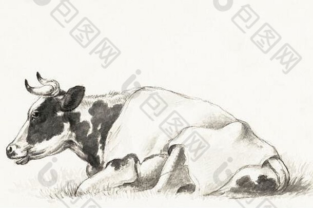 维纳奇艺术牛插图