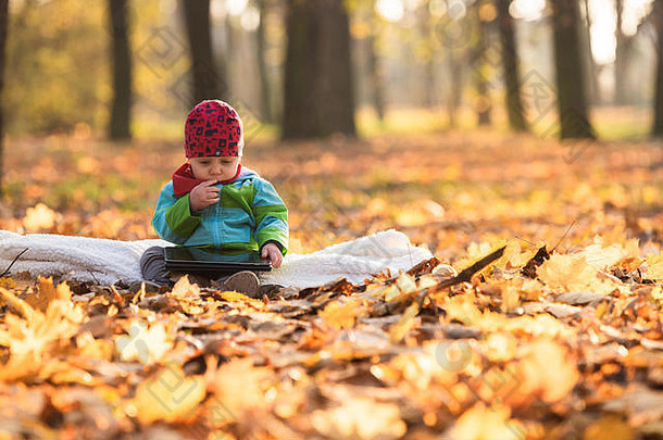 一个小男孩坐在公园的毯子上，手里拿着数字平板电脑，学习如何使用它。每年都有一个孩子在数字平板电脑上看动画片。