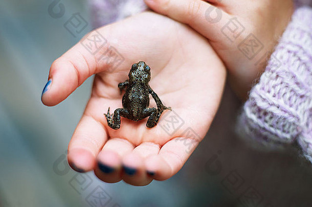 女孩手上的小青蛙