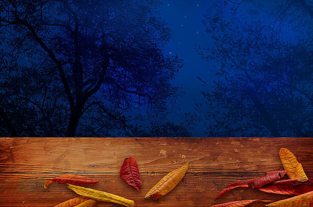 万圣节秋天蓝色的晚上森林树轮廓温暖的棕色（的）木叶子前面假期背景横幅空间文本