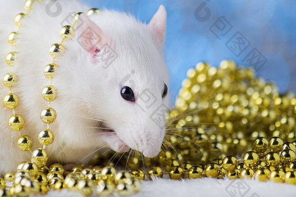 新年快乐！2020年新年的象征-白色或金属（银）鼠。圣诞装饰可爱的老鼠