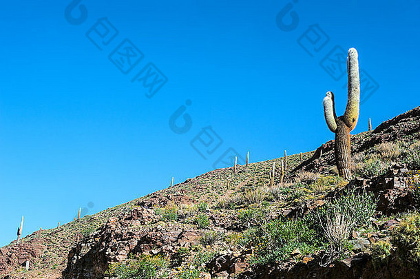 阿根廷安第斯高原中部克布拉达-德乌马华卡彩色山谷