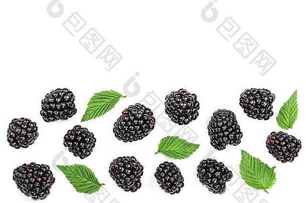 新鲜黑莓，白色背景上有隔离的叶子，文本有拷贝空间。顶视图。平铺模式