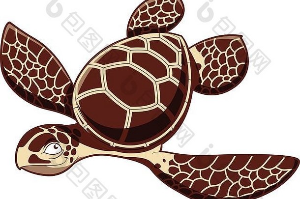 猫鼬海龟