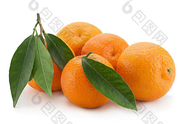 白色背景上分离的柑橘热带水果