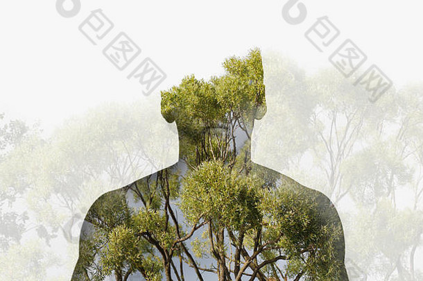 双曝光轮廓头肖像深思熟虑的男人。结合照片森林景观