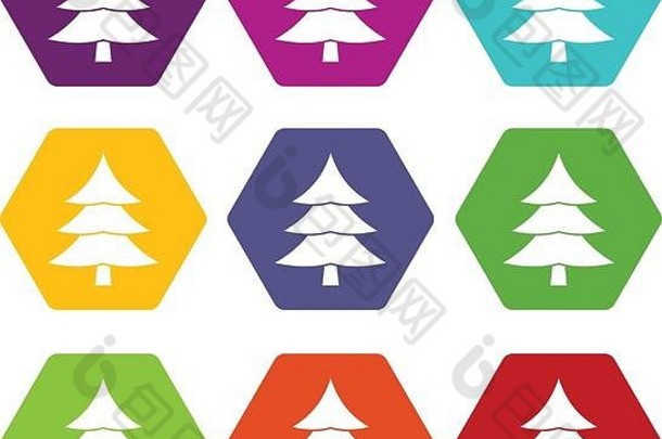 杉树图标集颜色六面体