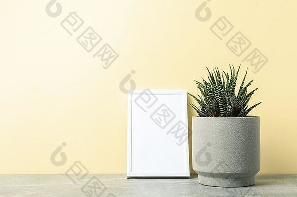 肉质植物和米色背景的空框架，文本空间