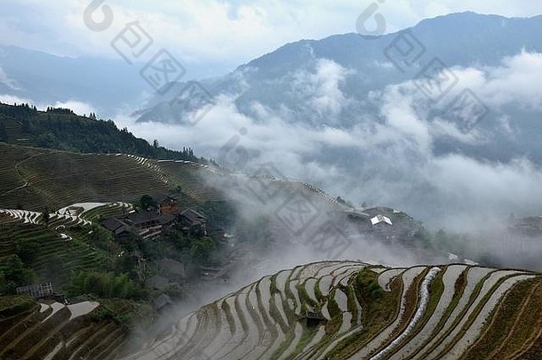 位于山顶的中国广西<strong>壮族</strong>自治区梯田隐藏在云层中。