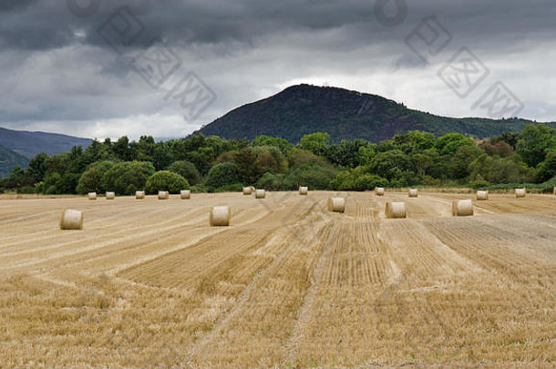 苏格兰高地因弗内斯附近的Marybank的一块干草捆和麦茬田。