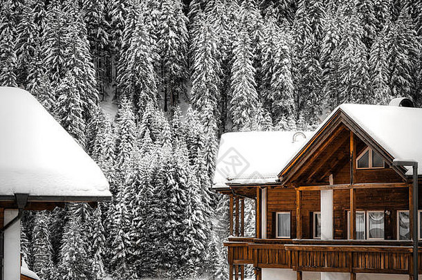 在一个寒冷的冬日，山上有两个雪白的屋顶和松林