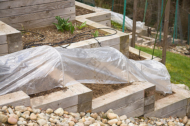 在美国华盛顿州萨马米什，新种植的梯田式厨房花园覆盖着塑料圈