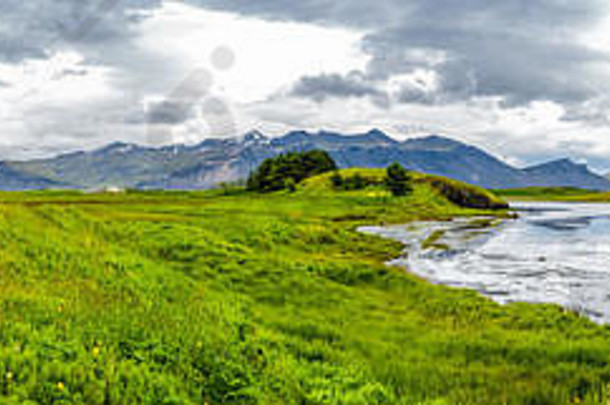 全景视图美丽的梅多斯场草花霍芬冰岛早期夏天时间