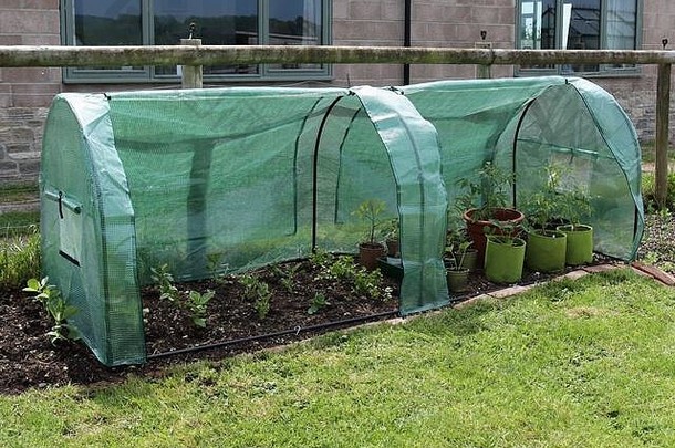一位哈克斯尼克斯塑料种植者在蔬菜地上架起了框架。
