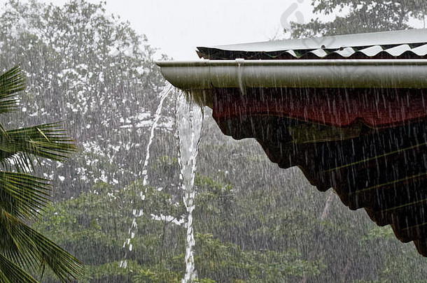 强烈的热带雨落在树木繁茂的地区，前景是一个屋顶，从排水沟流出大量的水——地点：塞舌尔